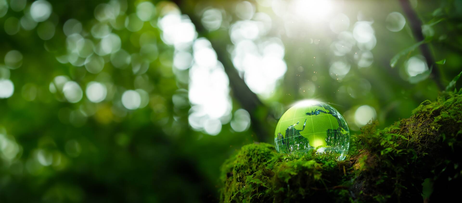 crystal-globe-placed-on-moss-esg-concept-for-envir-2026-01-09-07-45-16-utc (1)